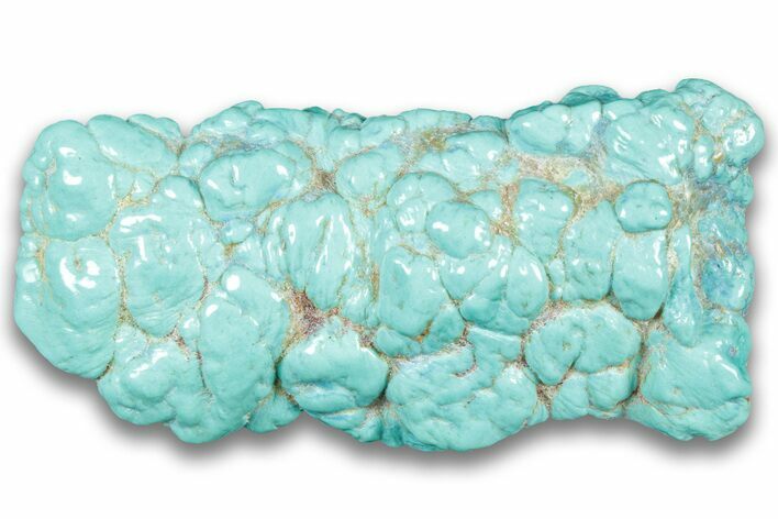 Polished Chilean Turquoise ( grams) Nugget #324109